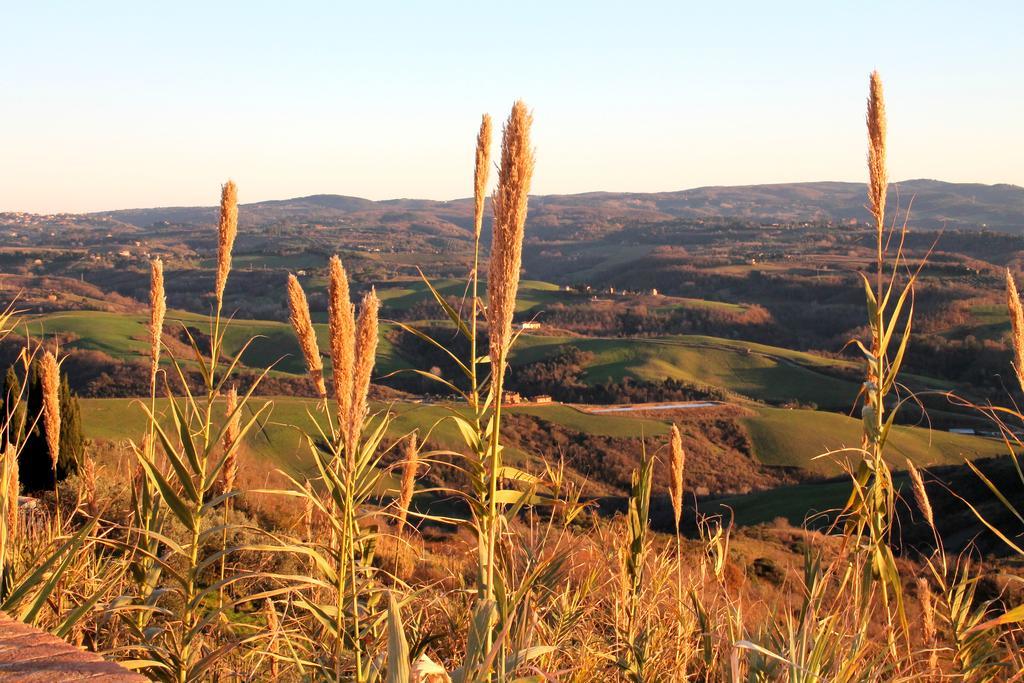 Agriturismo Le Docce Castelfiorentino Bagian luar foto